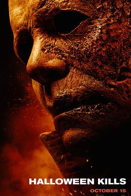 南皮县网站优化排名软件